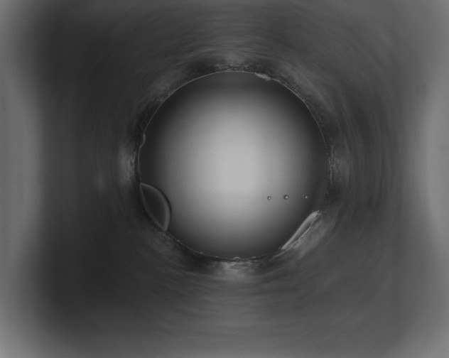 X0000100920188200806241352