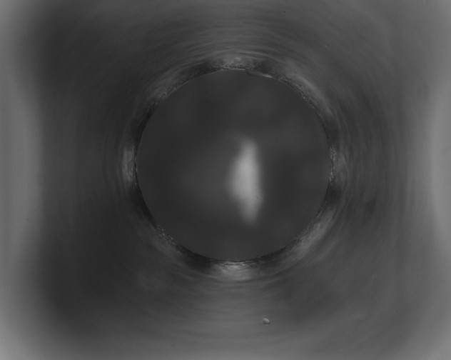 X0000100920189200806241352