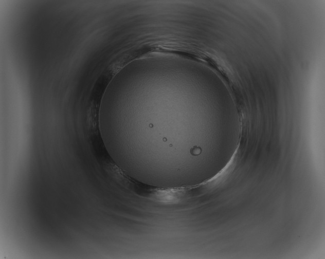 X0000100920190200806241352