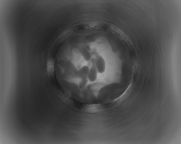 X0000100920191200806241352