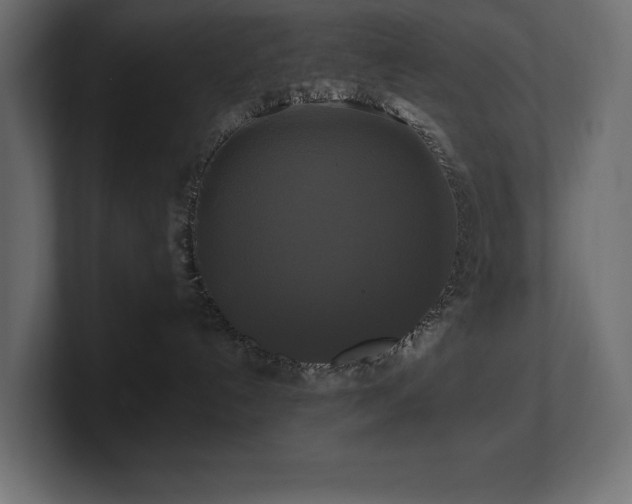 X0000100920192200806241352