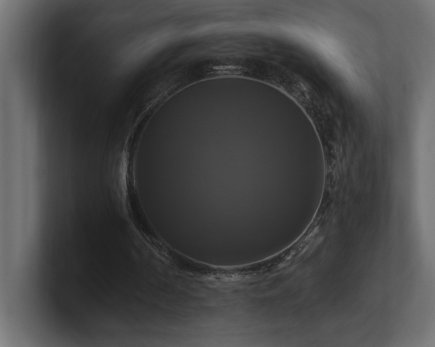 X0000100920194200806241351