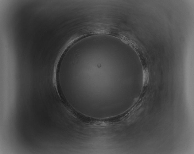 X0000100920195200806241351