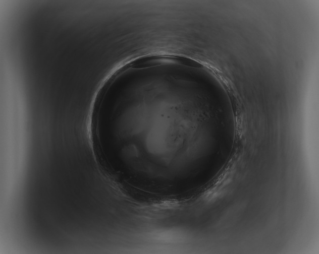 X0000100920196200806241351