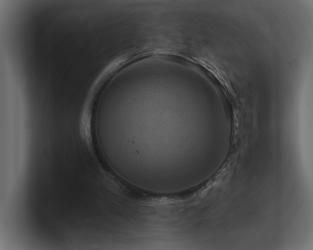 X0000100920197200806241351