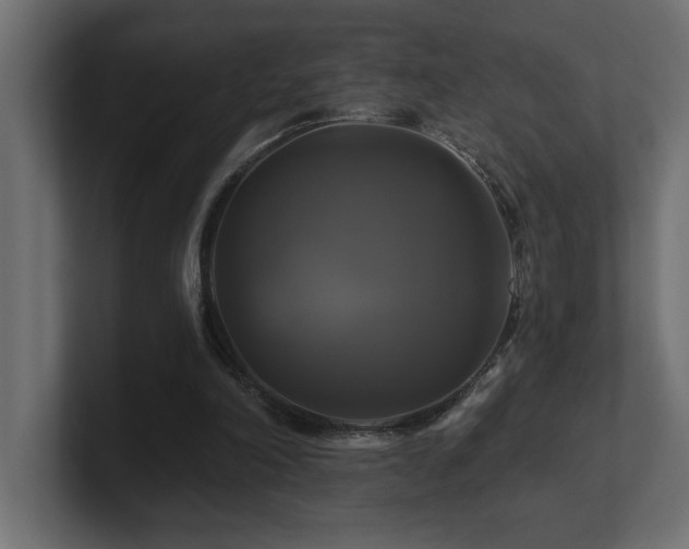 X0000100920198200806241351