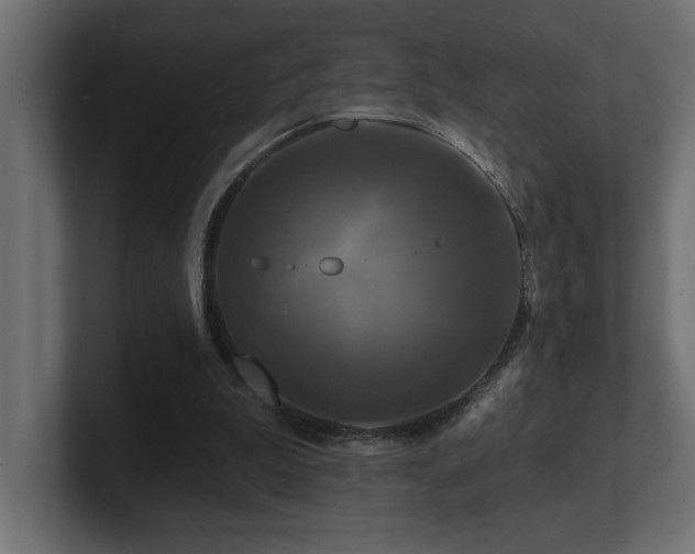 X0000100920199200806241351