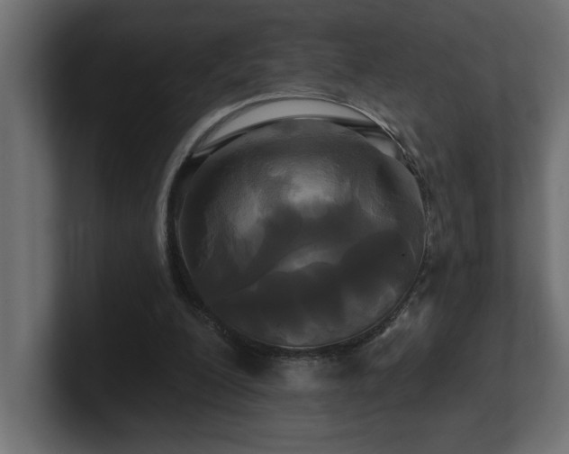 X0000100920200200806241351