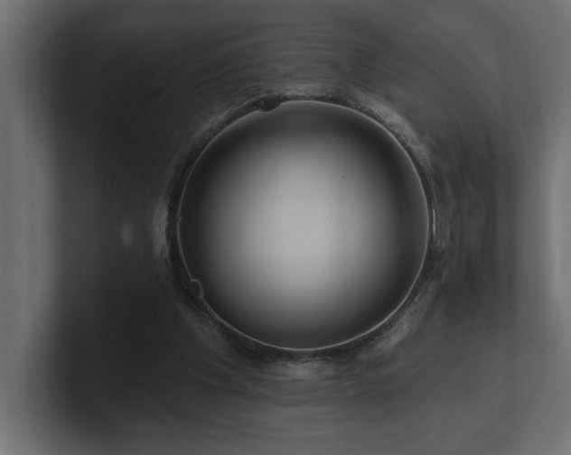 X0000100920201200806241351