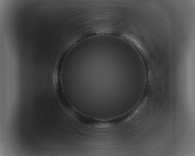 X0000100920202200806241351