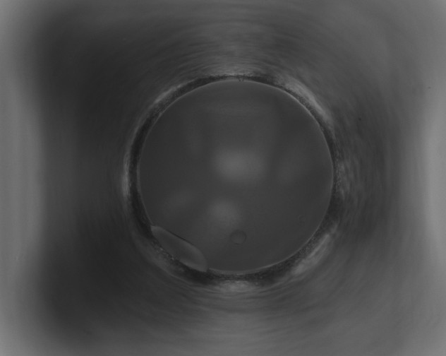 X0000100920203200806241351