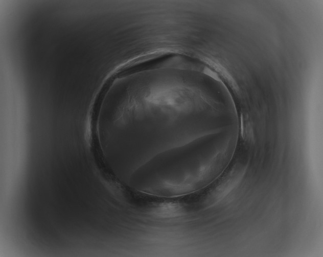 X0000100920204200806241351