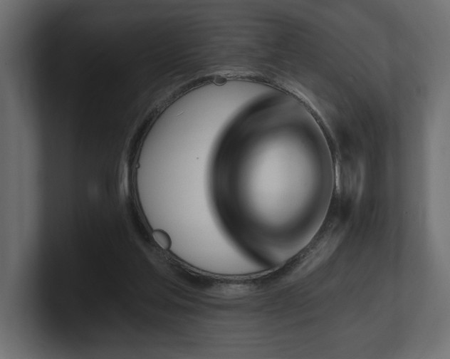 X0000100920205200806241351