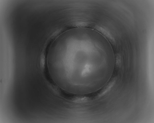 X0000100920206200806241351