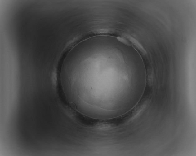 X0000100920207200806241351