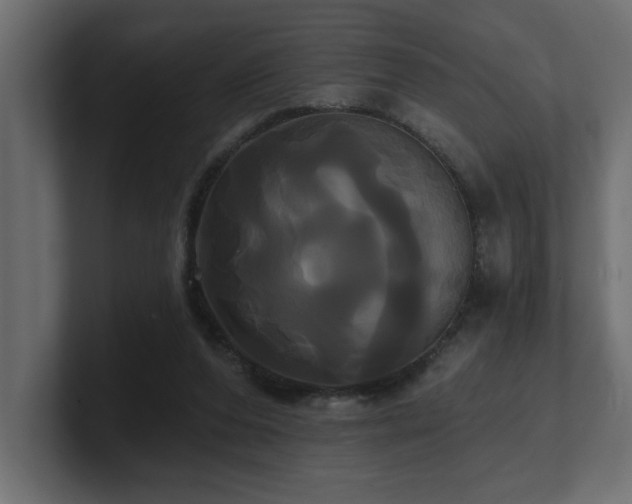 X0000100920208200806241351