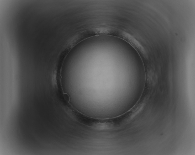 X0000100920209200806241351