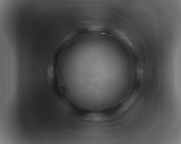 X0000100920211200806241351