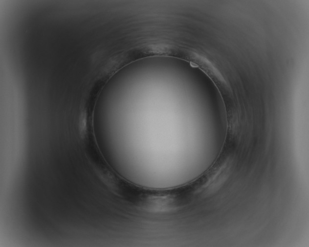 X0000100920213200806241351