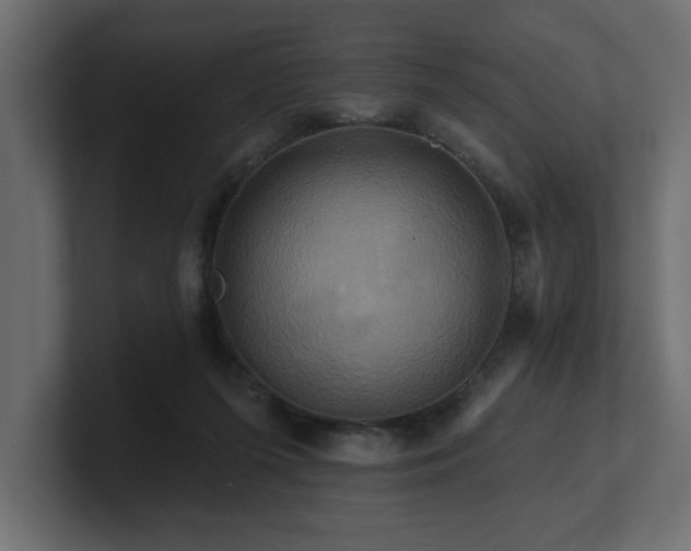 X0000100920215200806241351