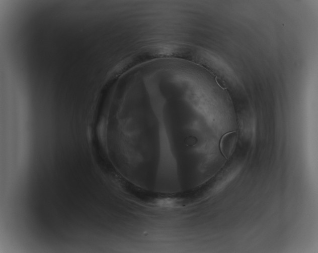 X0000100920216200806241351