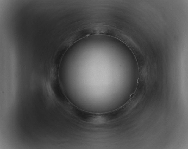 X0000100920218200806241351