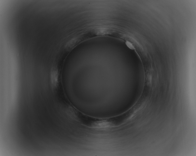 X0000100920219200806241351