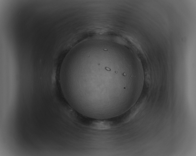 X0000100920221200806241351