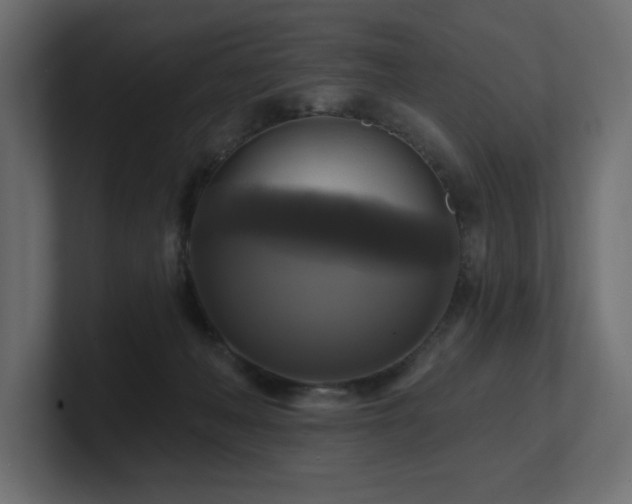 X0000100920222200806241351