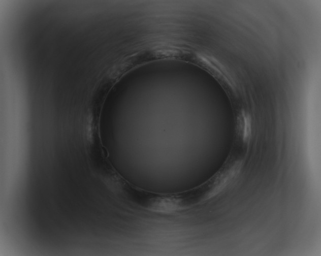 X0000100920223200806241351