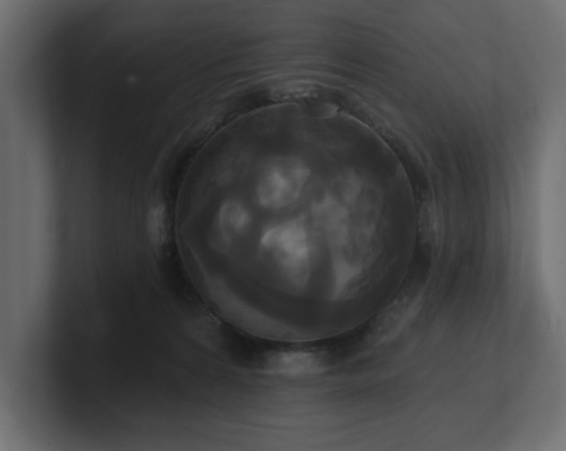 X0000100920224200806241351