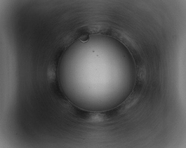 X0000100920226200806241351