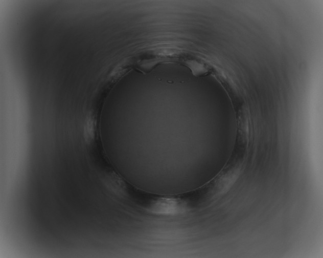 X0000100920227200806241351