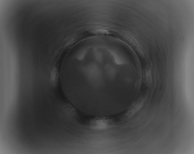 X0000100920228200806241351