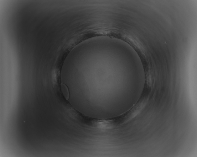 X0000100920229200806241350