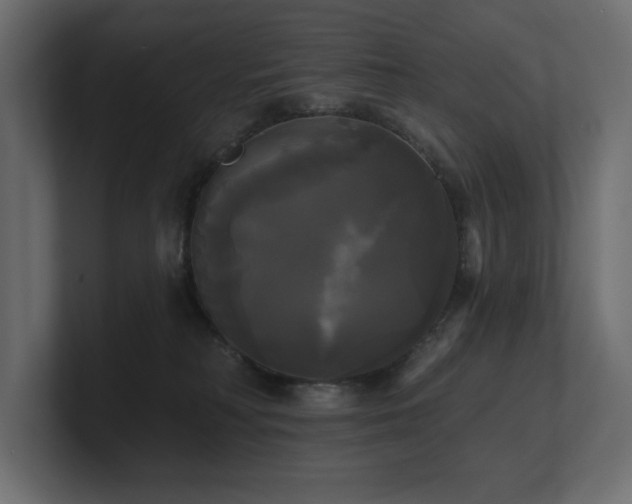 X0000100920230200806241350