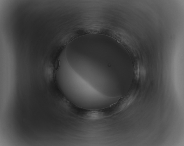 X0000100920231200806241350