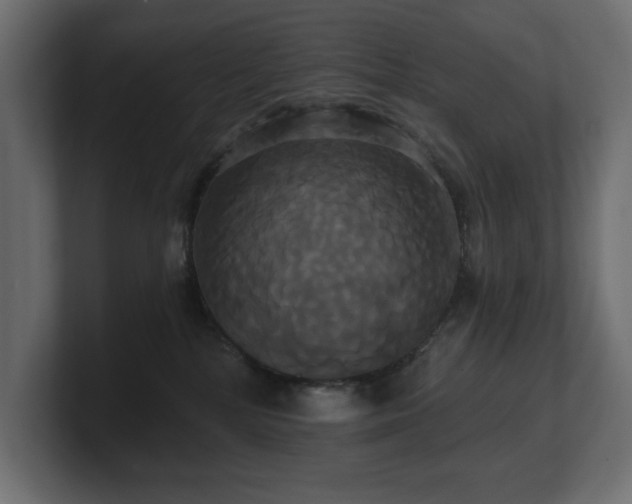 X0000100920232200806241350