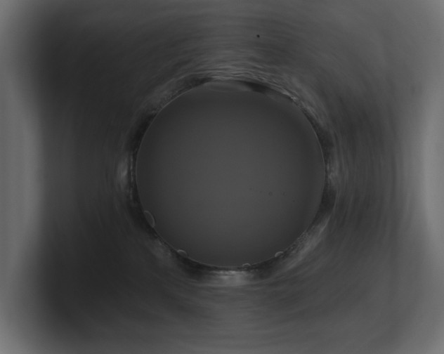 X0000100920233200806241350