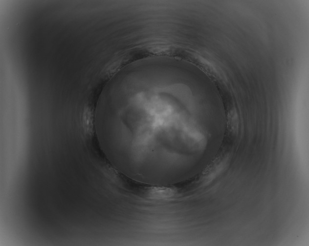 X0000100920234200806241350