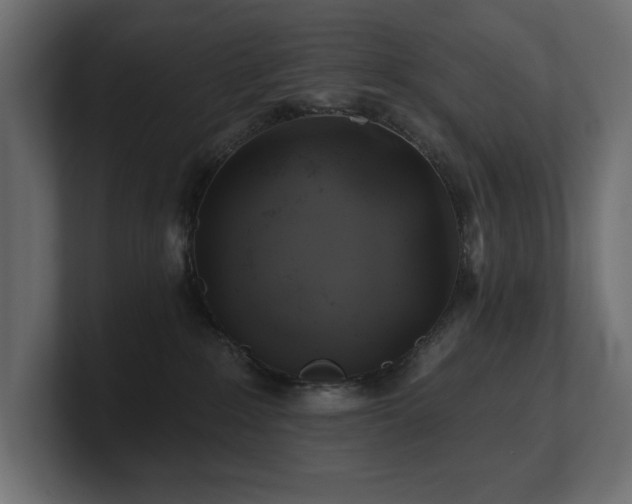 X0000100920235200806241350