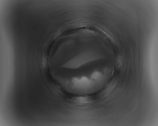 X0000100920236200806241350