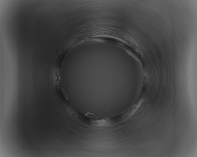 X0000100920237200806241350