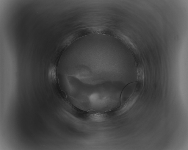 X0000100920238200806241350