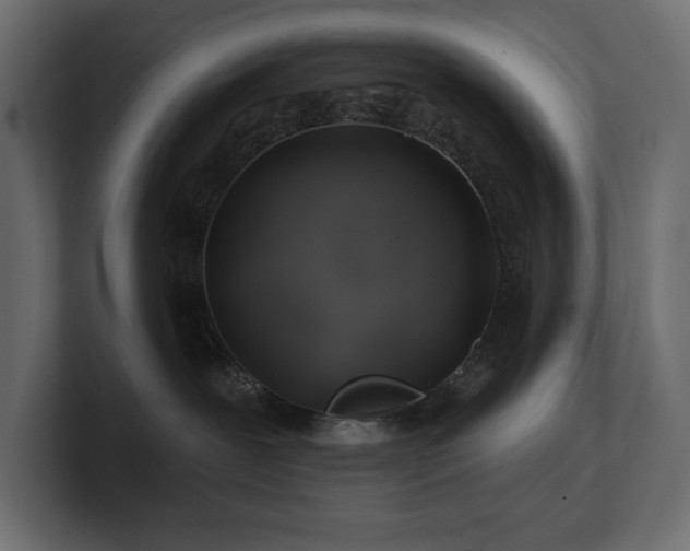 X0000100920239200806241350