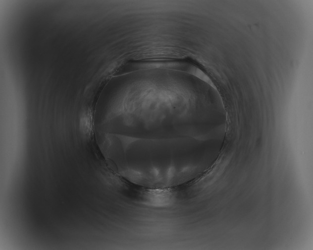 X0000100920240200806241350