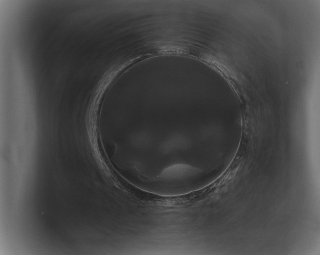 X0000100920241200806241350