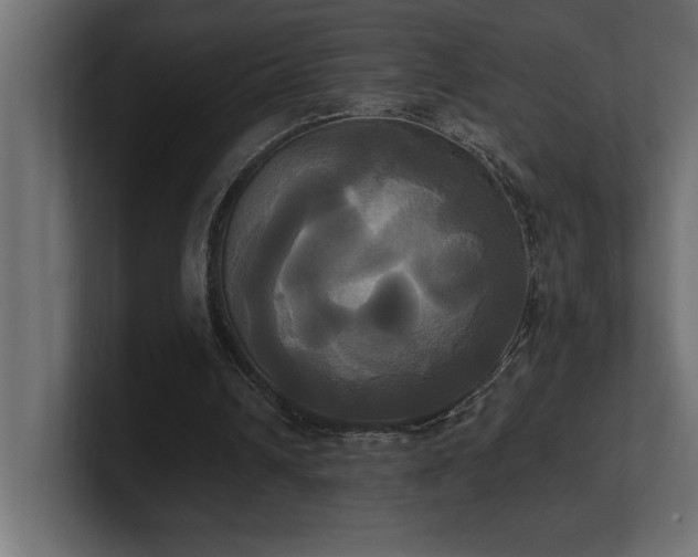 X0000100920242200806241350