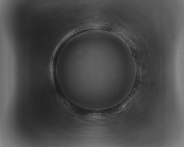 X0000100920244200806241350