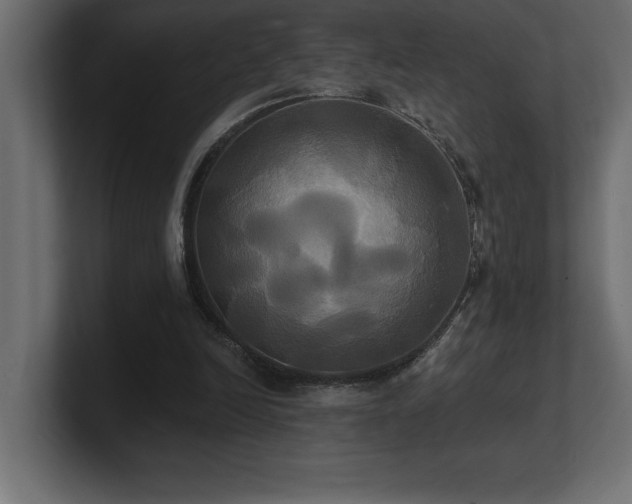 X0000100920246200806241350